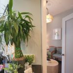 Front desk and waiting room