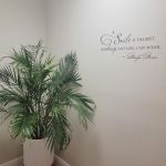 Potted plant in the corner