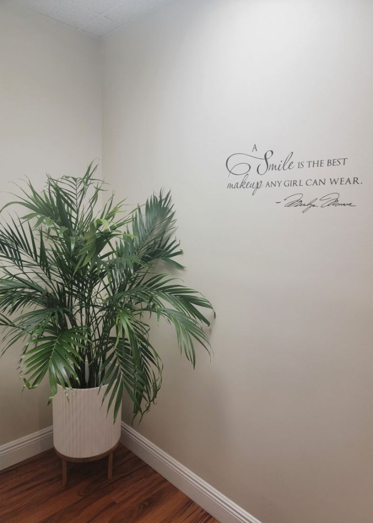 Potted plant in the corner